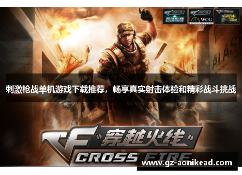 刺激枪战单机游戏下载推荐，畅享真实射击体验和精彩战斗挑战